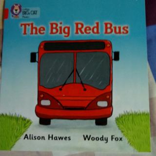 The Bⅰg Red Bus