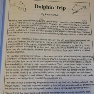 Dolphin  Trip  单词