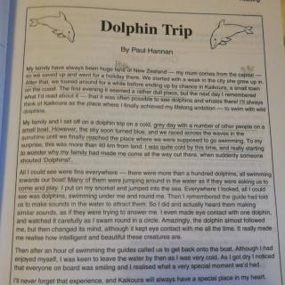 Dolphin  Trip  单词