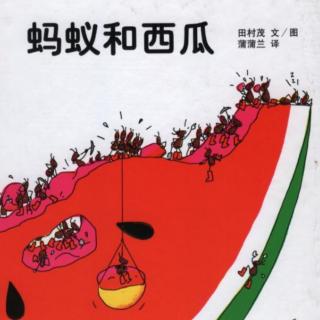 北大双语幼儿园绘本故事《蚂蚁和西瓜》