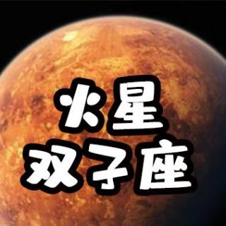 火星双子