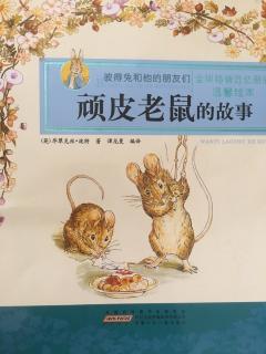 顽皮老鼠🐭的故事