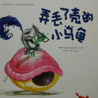 《丢了壳的乌龟》