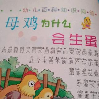 《母鸡🐔为什么会生蛋?》