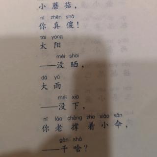 小蘑菇