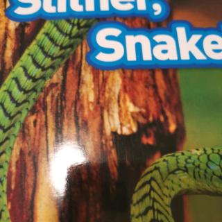 slither snake!