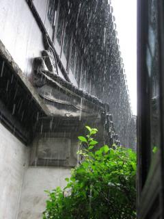 又见江南雨6