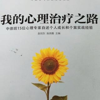 我的心理治疗之路～第十三章～咨询师的个案和督导