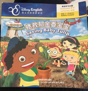 中英双语-saving baby tulip 拯救郁金香宝宝