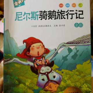 《尼尔斯骑鹅旅行记》～尼尔斯变小了