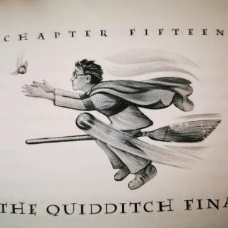 HP3-15The Quidditch final