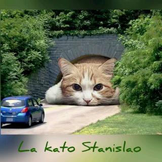 世界语歌曲 La kato Stanislao (现场版)