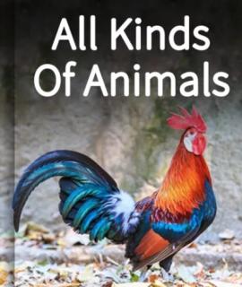 睡前故事-All Kinds of Animals