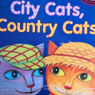 City Cats Country Cats