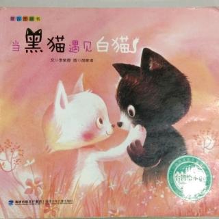 绘本故事《当黑猫遇见白猫》
