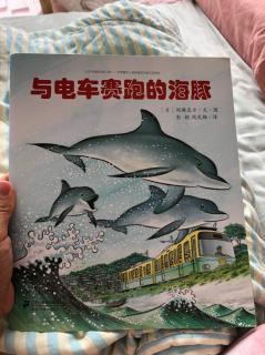 🚃与电车赛跑的海豚🐬