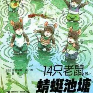 《14只老鼠的蜻蜓池塘》