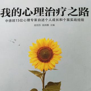 我的心理治疗之路～第十四章～我成为心理咨询师的经历