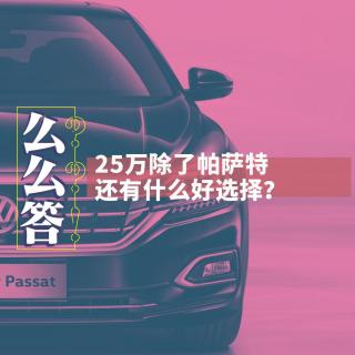 25万除了帕萨特，还有什么好选择？｜寅哥么么答