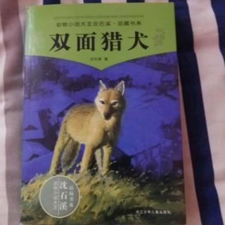 双面猎犬-第三章苦难的童年