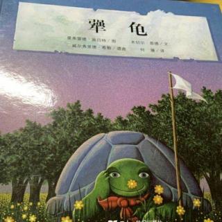 61【绘本故事】犟龟
