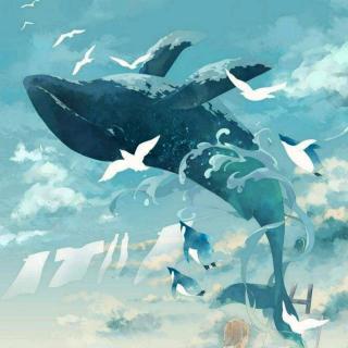 投稿 · 落雨 - 鲸鱼马戏团