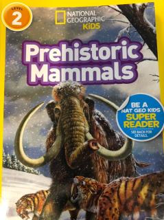 Prehistoric Mammals