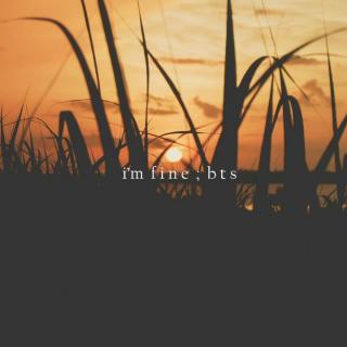 BTS - I'm Fine 八音盒