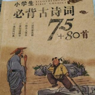 小学生必背古诗词📘