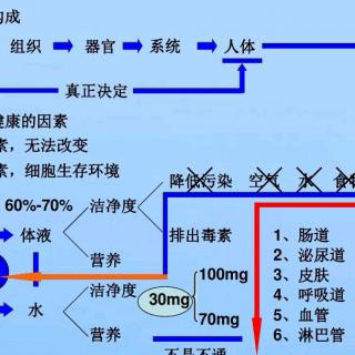 人体六大排毒通道，你了解吗？