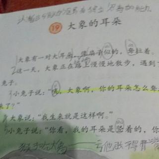 背19~20