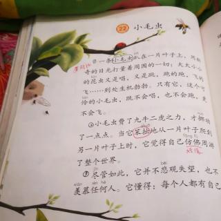 《小毛虫》