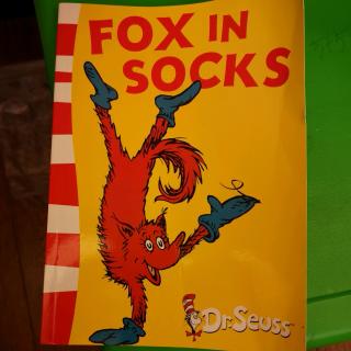 Fox in socks1