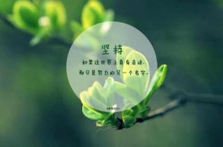 李硕于2019.6.6.的晚读369/369