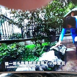 忍住了看你，都忍不住想你