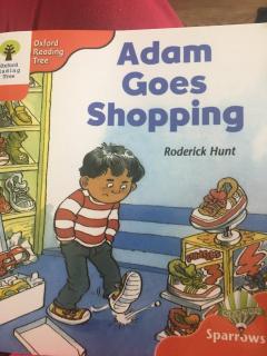 Adam goes shopping20190607