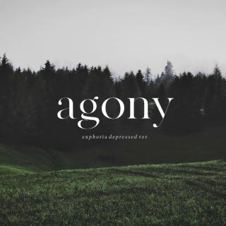 BTS - Agony (Euphoria 忧郁版) - Piano Cover.