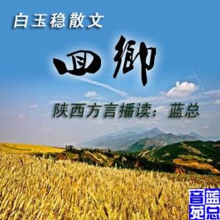 白玉稳陕西方言散文《回乡》蓝总播读