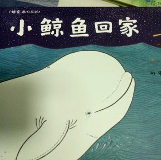 精选绘本故事《小鲸鱼回家》