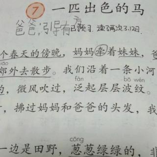 一匹出色的马。