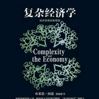 听书《复杂经济学》