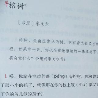 語文素養(yǎng)讀本～三下～14.榕樹