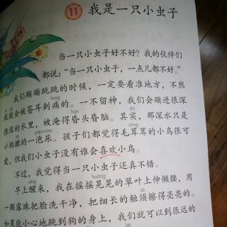 二年级语文下～小柳树和小枣树