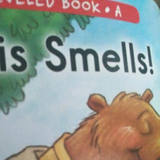 smells