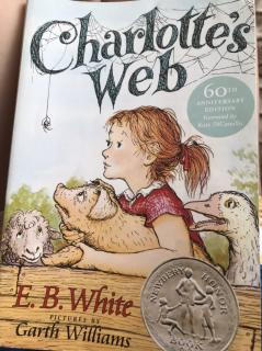 charlotte's web12