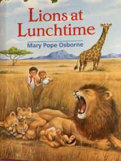 22Lions at Lunchtime