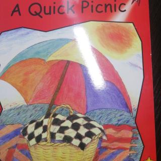 aquick picnic