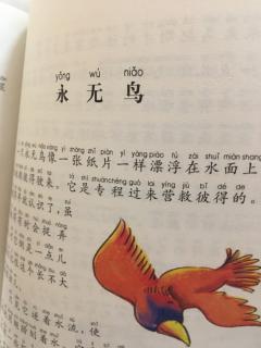 彼得潘之永无鸟