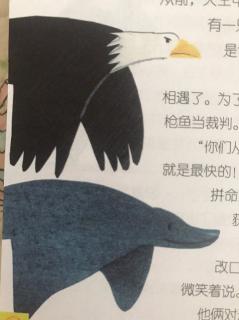 8🈷️6日 空中的🦅和海里的🦅