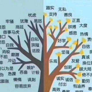 教育在點(diǎn)滴積累中